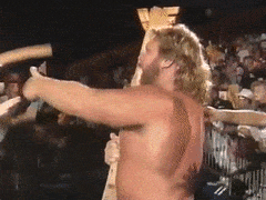 BoldCleverAffenpinscher-max-1mb