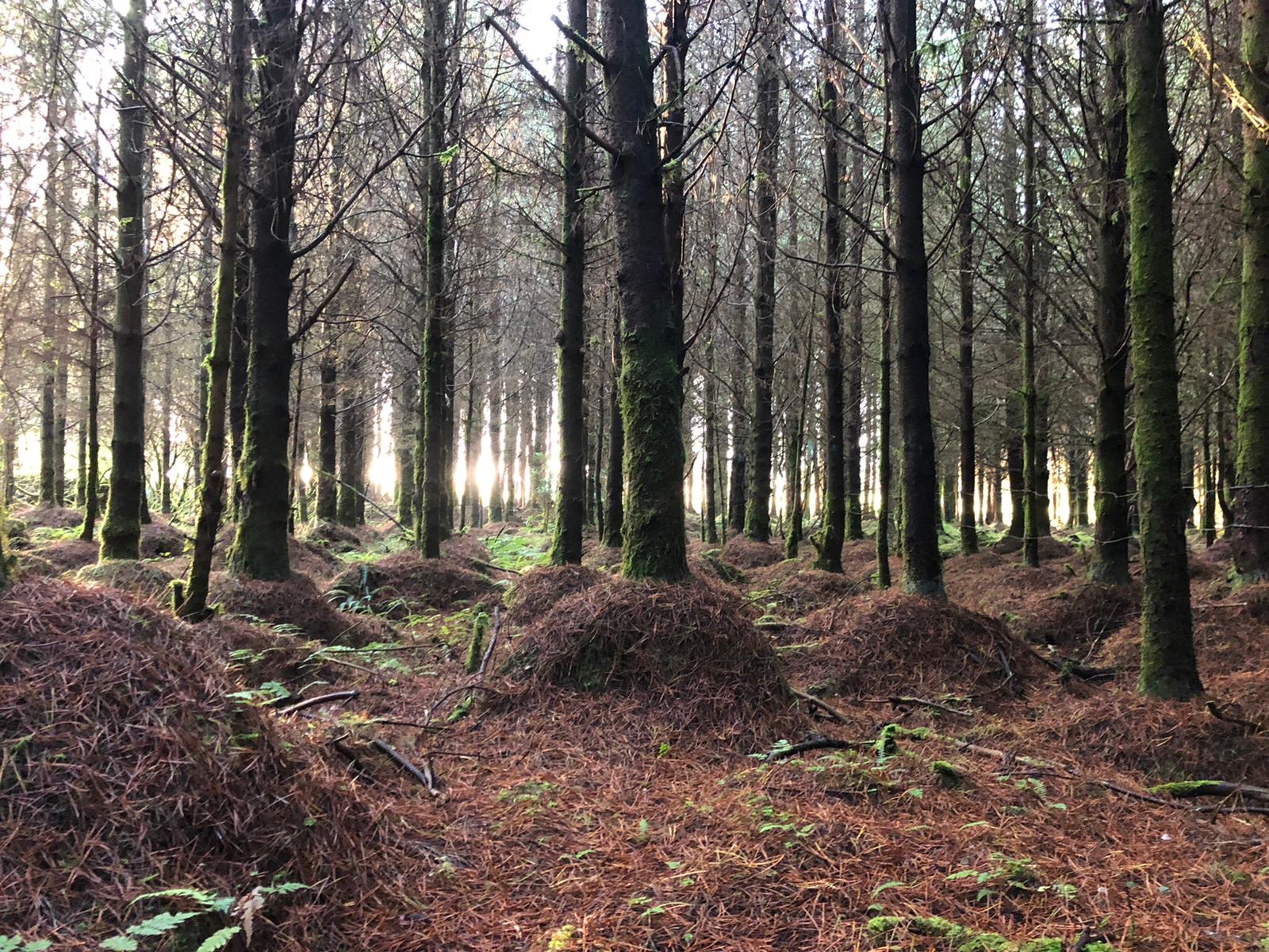 56a0de90-72fc-4f75-a077-926e721e5e9a