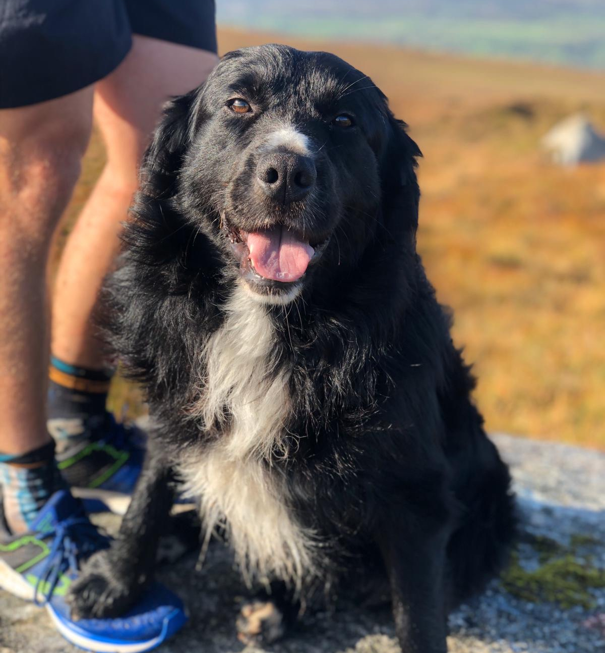 a3cedc6a-61a1-4a10-abe4-6cfdd1fdaaee