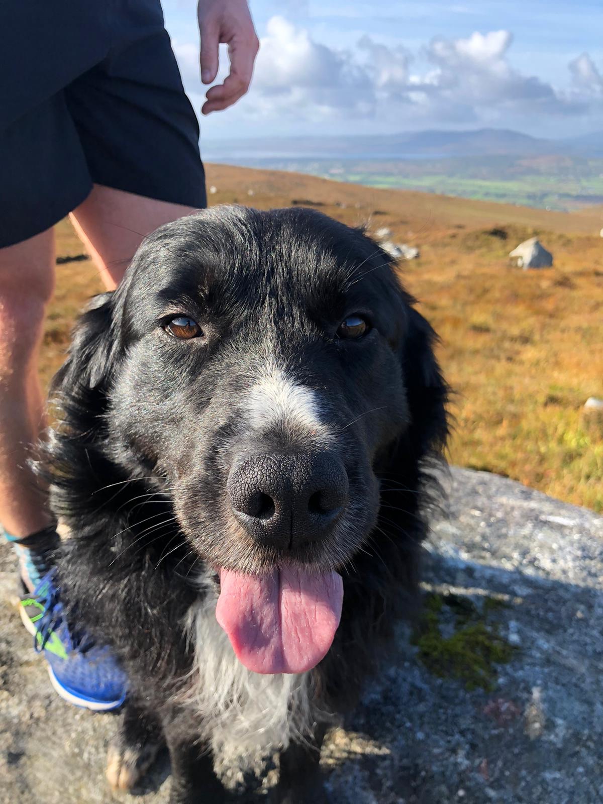 d80b411a-e46d-42f2-85d4-a3056de114d8