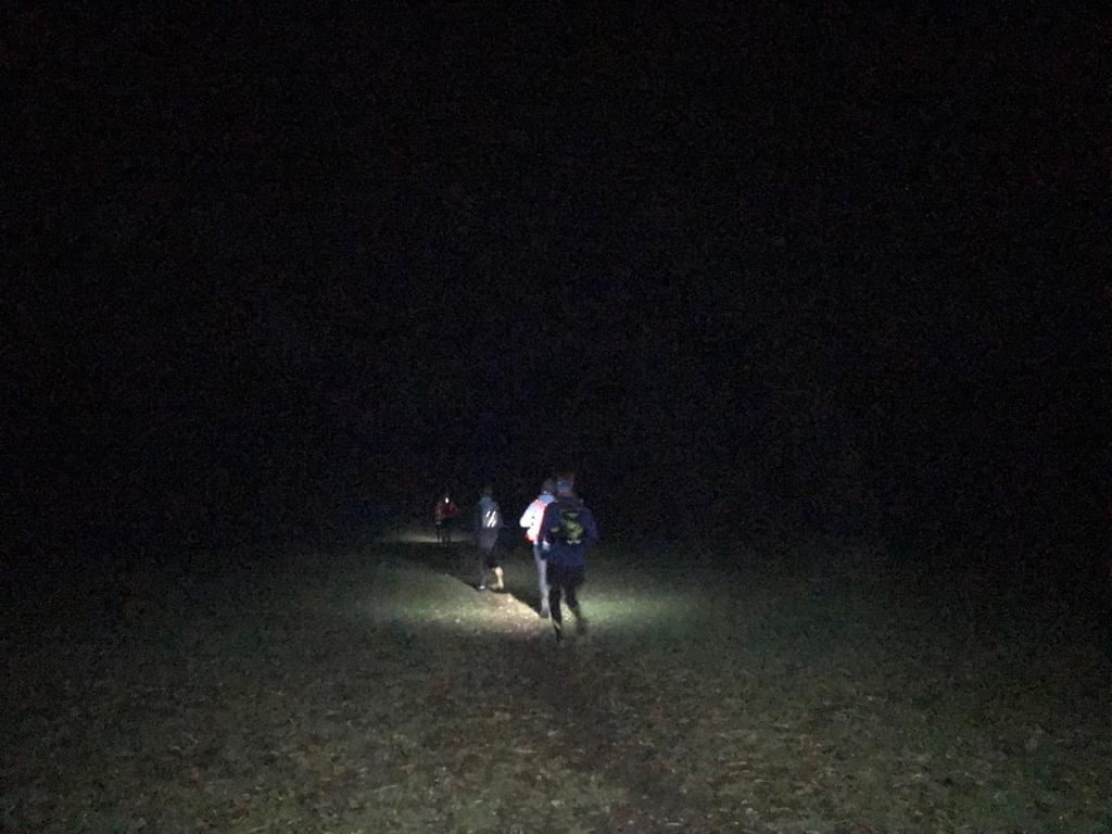 4e980b55-2b18-4dab-92b5-b1e686d001ed